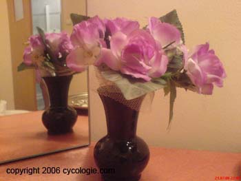DSC00276