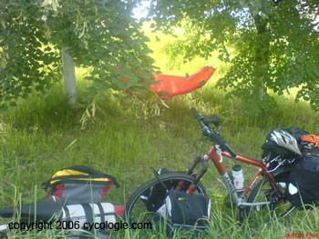 DSC00323